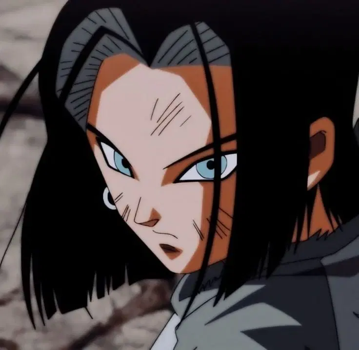 Android 17