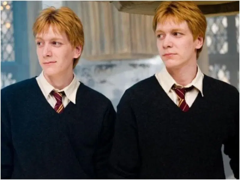 The Weasley Twins