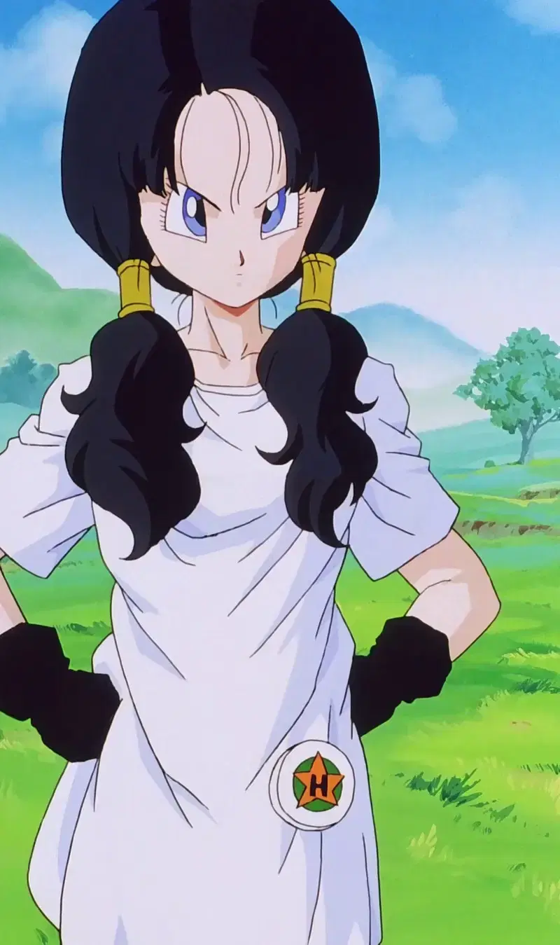 Videl Satan